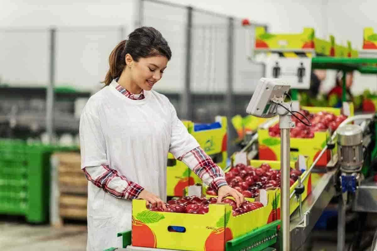Fresh Produce
